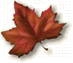 Blue Ridge Parkway Fall Foliage Leaf Guide