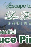 North Carolina Cabin Rentals