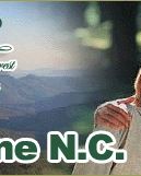 Blue Ridge Mountain Cabin Rentals