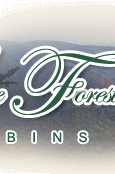 Blue Ridge Parkway Cabin Rentals