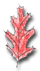 Red Oak