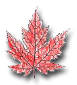 Silver Maple